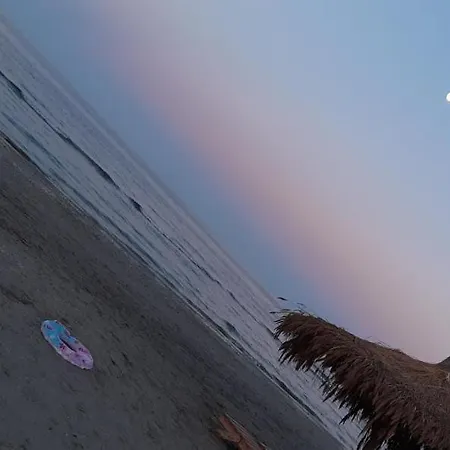 Studio Papaya Beach ナボダリ